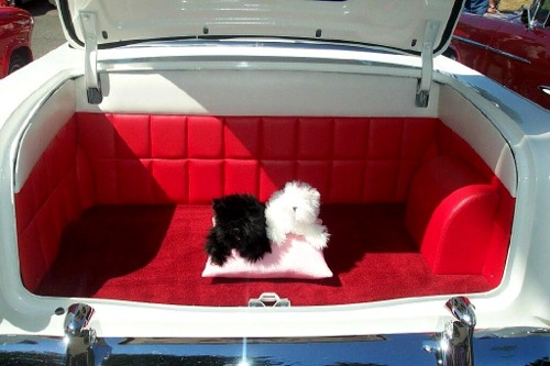 Bill Cook's 1955 Chevrolet Bel Air Sport Coupe